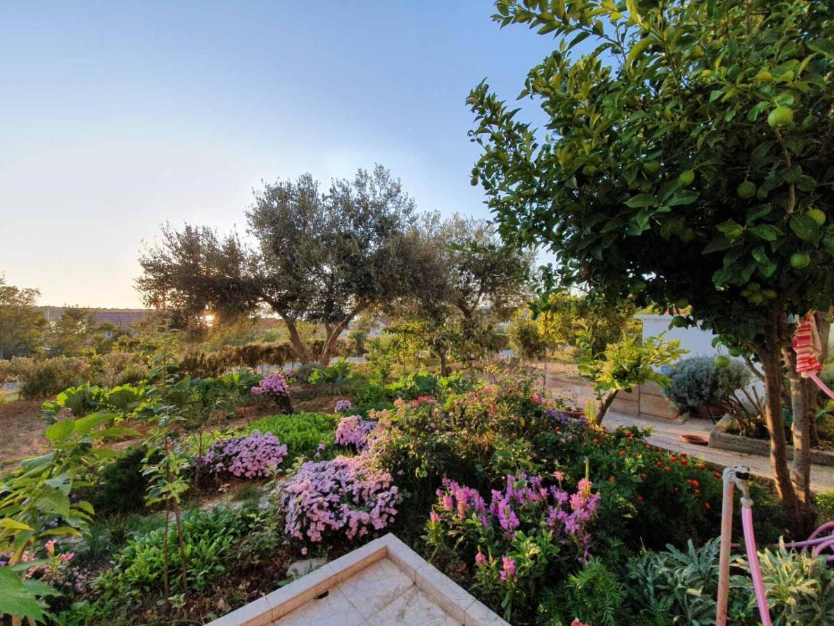 Apartment Nika Banjol Dış mekan fotoğraf